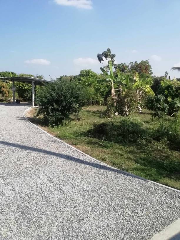 โซนแม่วาง ขายเพียง 2 ล.เท่านั้น เนื้อที่ 2 ไร่ ที่ดินพร้อมสิ่งปลูกสร้าง สาธารณูปโภคครบครัน ถนนคอนกรีต ห่างจากชุมชน 700 เมตร