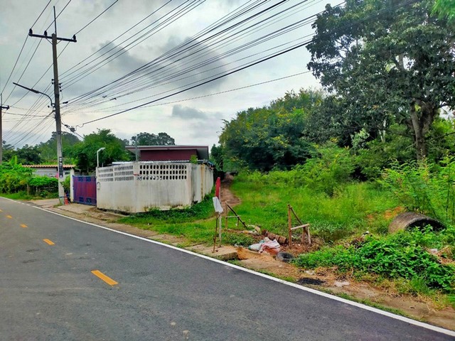 ขาย ที่ดิน ต.เมืองคง อ.ราษีไศล จ.ศรีสะเกษ  PAP6-0129 