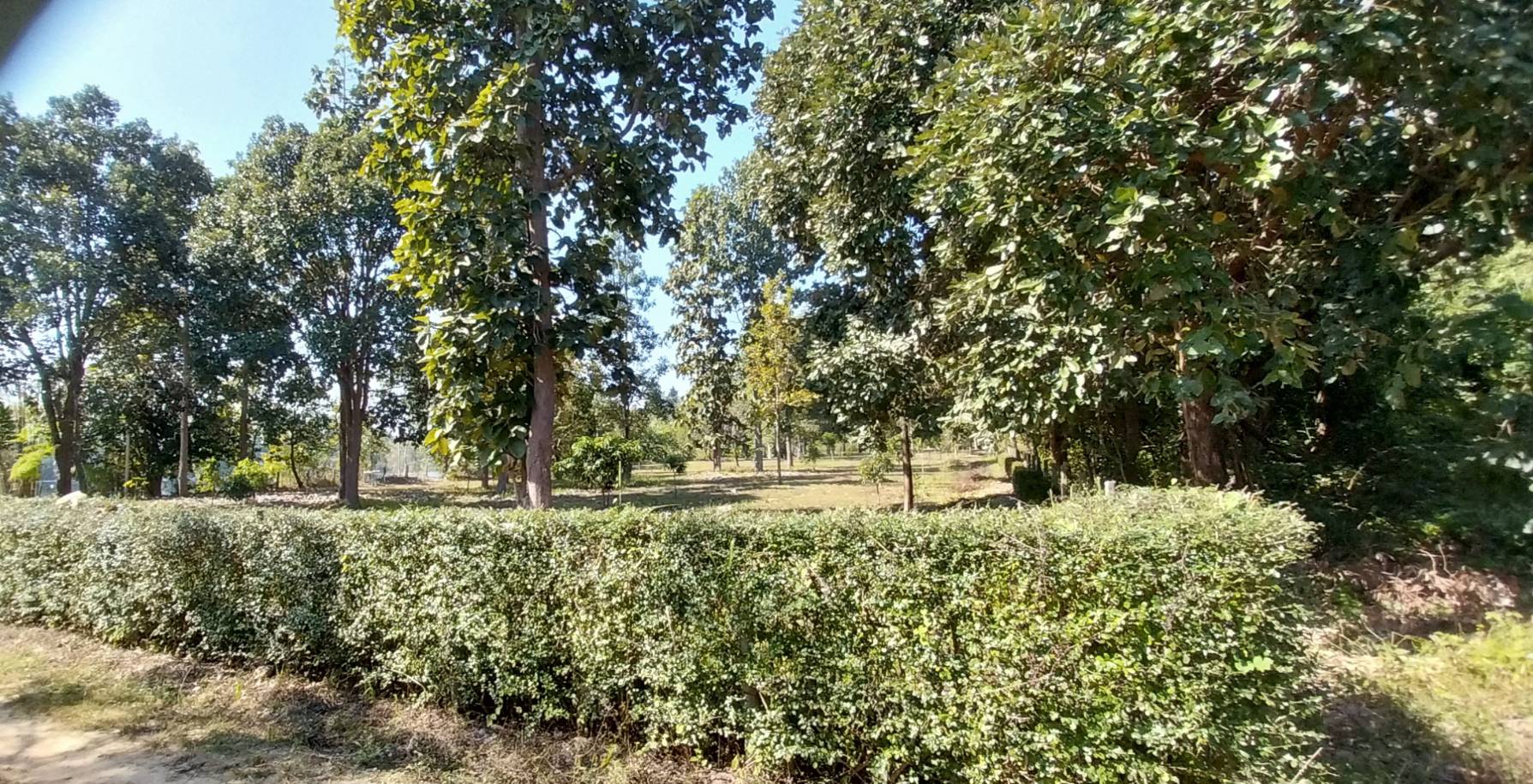 ขายที่ดินแปลงสวยน้ำแพร่ หางดง ติดอ่างน้ำ