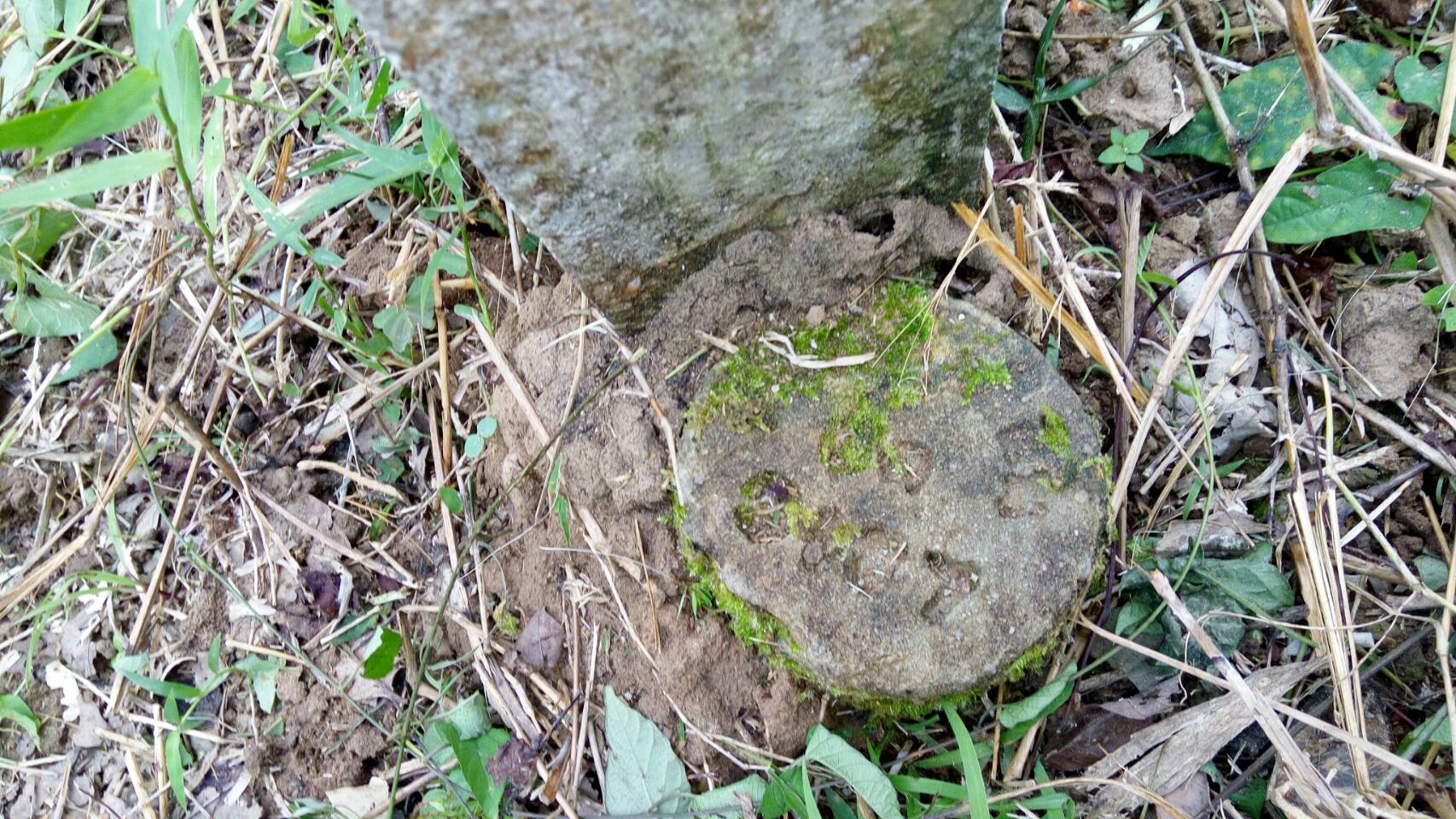 ขายที่ดินทำเลทอง อ.ปะเหลียน จ.ตรัง