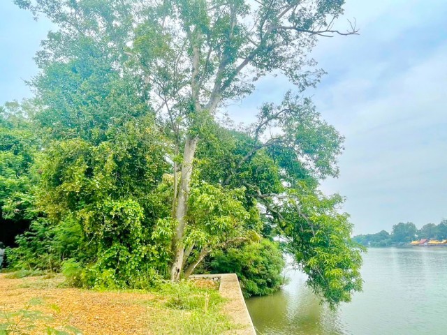 ใกล้รพ.สต.หลุมดิน 400 ม. ที่ดินริมแม่น้ำแม่กลอง  2 ไร่ 110 ตร.ว.3,640 ตร.ม. ใกล้วัดหลุมดิน 350 ม.