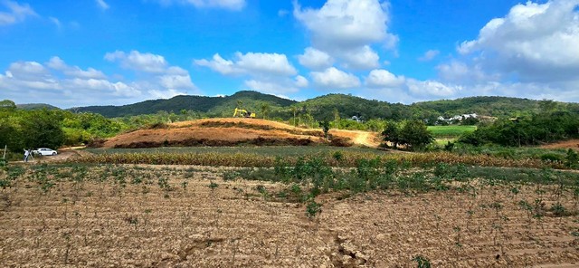ขาย ที่ดิน - ใกล้กับ ขนงพระ  อ.ปากช่อง รพ.ปากช่อง 200 ตารางวา