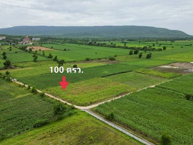 1 ขาย ที่ดิน ถูกสุด ที่วิวเขา ติดถนนคอนกรีต1แสนบาท 100ตรว. วังเพลิน โคกสำโรง ลพบุรี T .086-301-6161 100000 บาท ลพบุรี    100 ตร.วา
