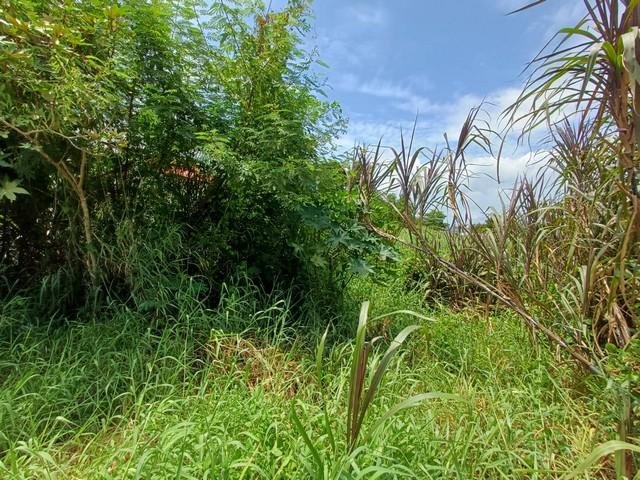 ขายที่ดิน 198 ตร.ว. ถนนสุขุมวิท 107 ซอยแบริ่ง 58 แยก 6 อยู่ด้านหลัง รร.เซนโยเซฟบางนา