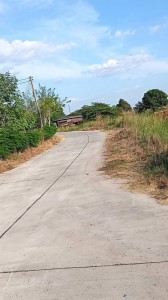 ขายที่ดินพานทองชลบุรี ขายที่บ่อเลี้ยงปลานิล เนื้อที่ 13 ไร่เศษ โซนนิคมอุตสาหกรรมอมตะcity ชลบุรี  พานทอง เฟส 8-9-10