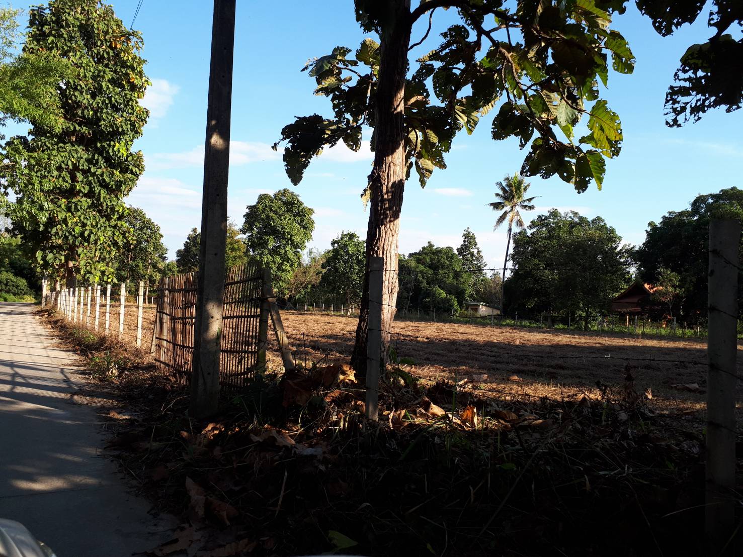 ขายที่ดินน้ำแพร่ หางดง